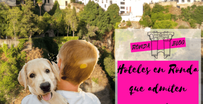 Hoteles en Ronda que admiten mascotas