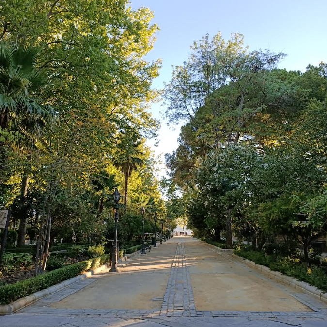 Paseo por la Alameda del Tajo